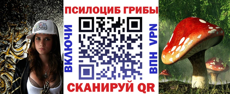 продажа наркотиков  даркнет официальный сайт  Галлюциногенные грибы Psilocybe  Судогда 